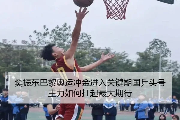樊振东巴黎奥运冲金进入关键期国乒头号主力如何扛起最大期待